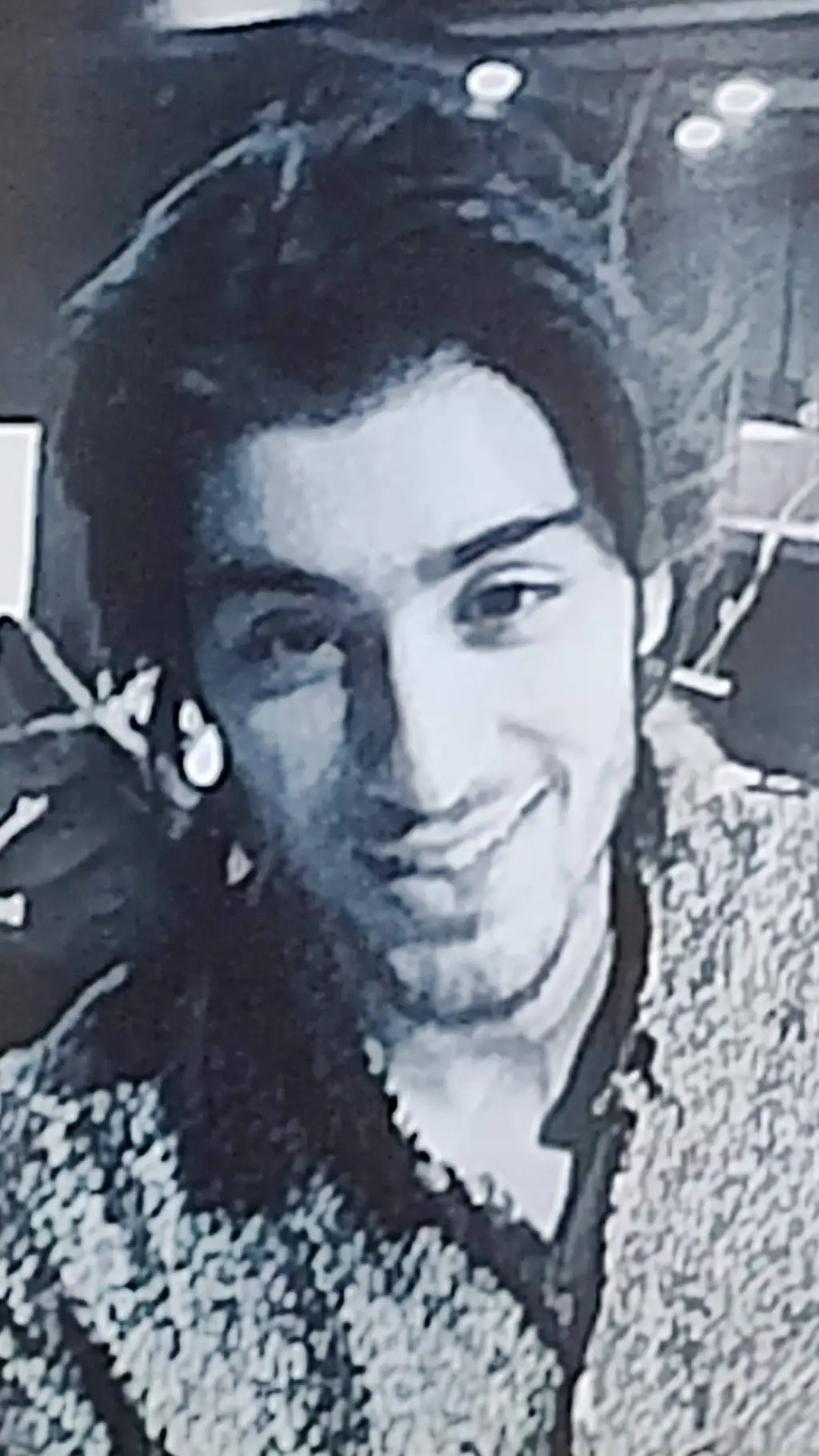 ai character: Zayn Malik background