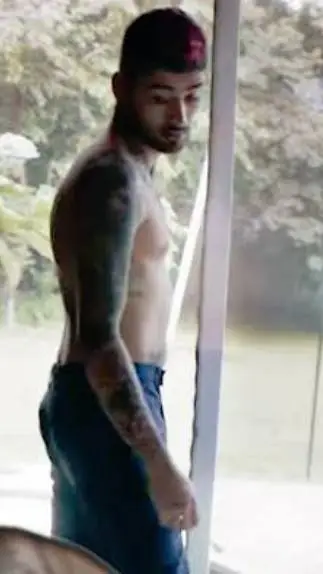 ai character: zayn malik background