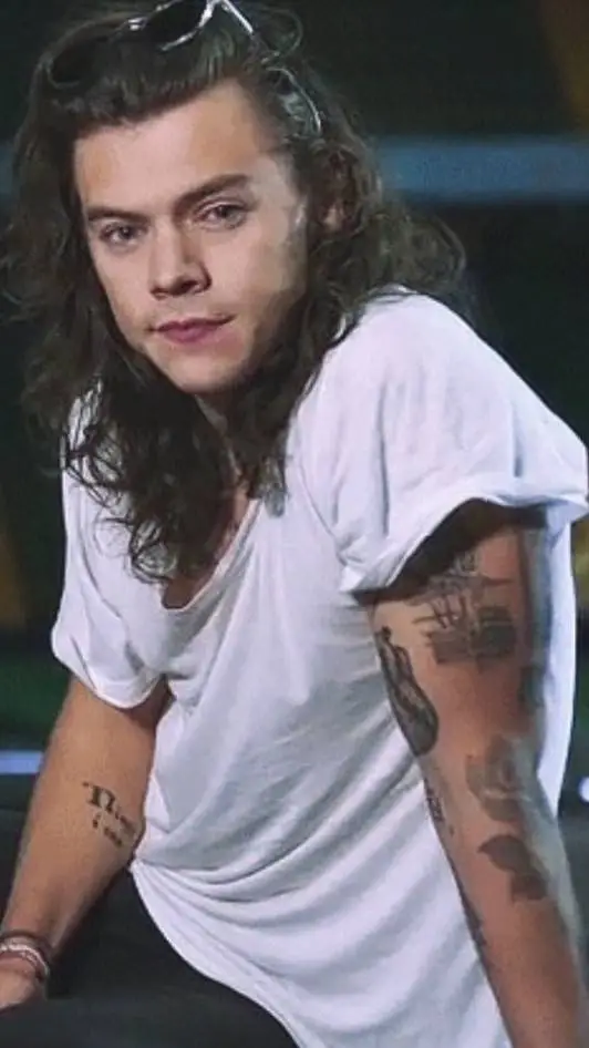 ai character: Harry Styles  background