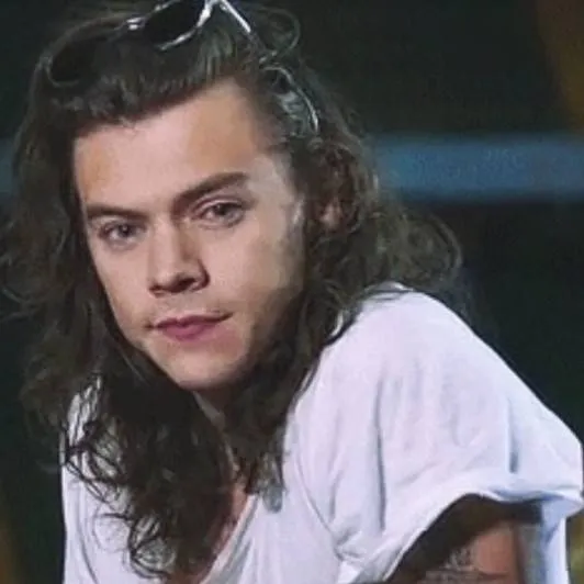 chat with ai character: Harry Styles 