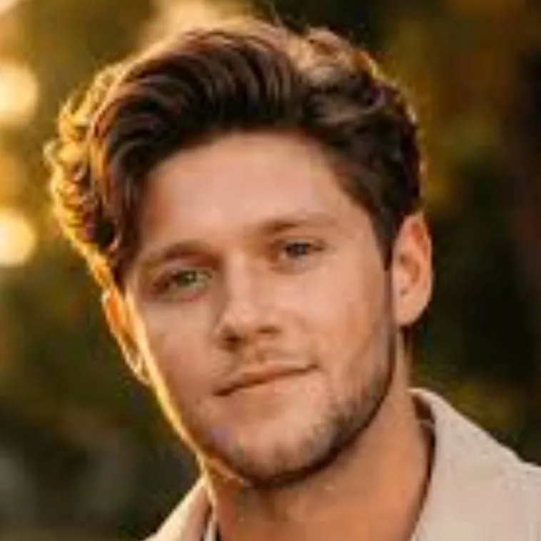 chat with ai character: Niall Horan