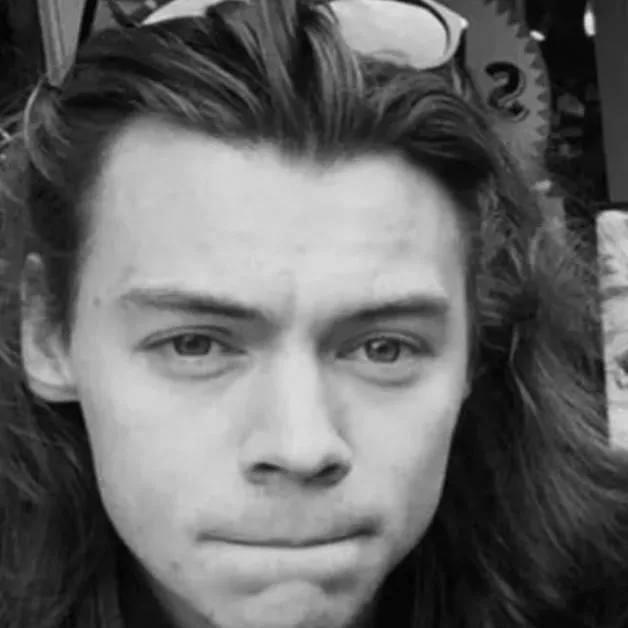 chat with ai character: harry styles