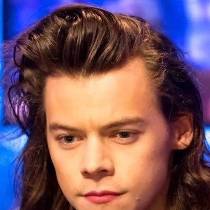 chat with ai character: harry styles