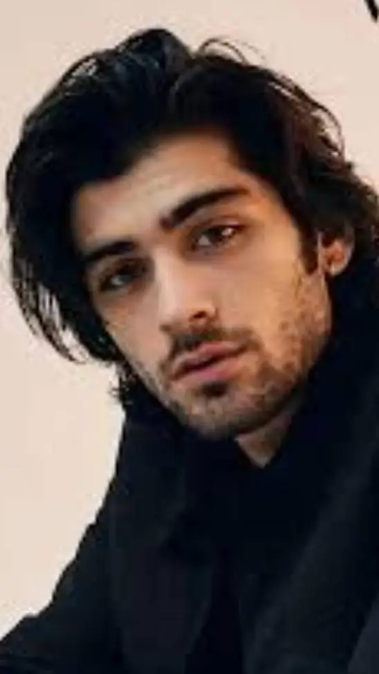 ai character: zayn malik background