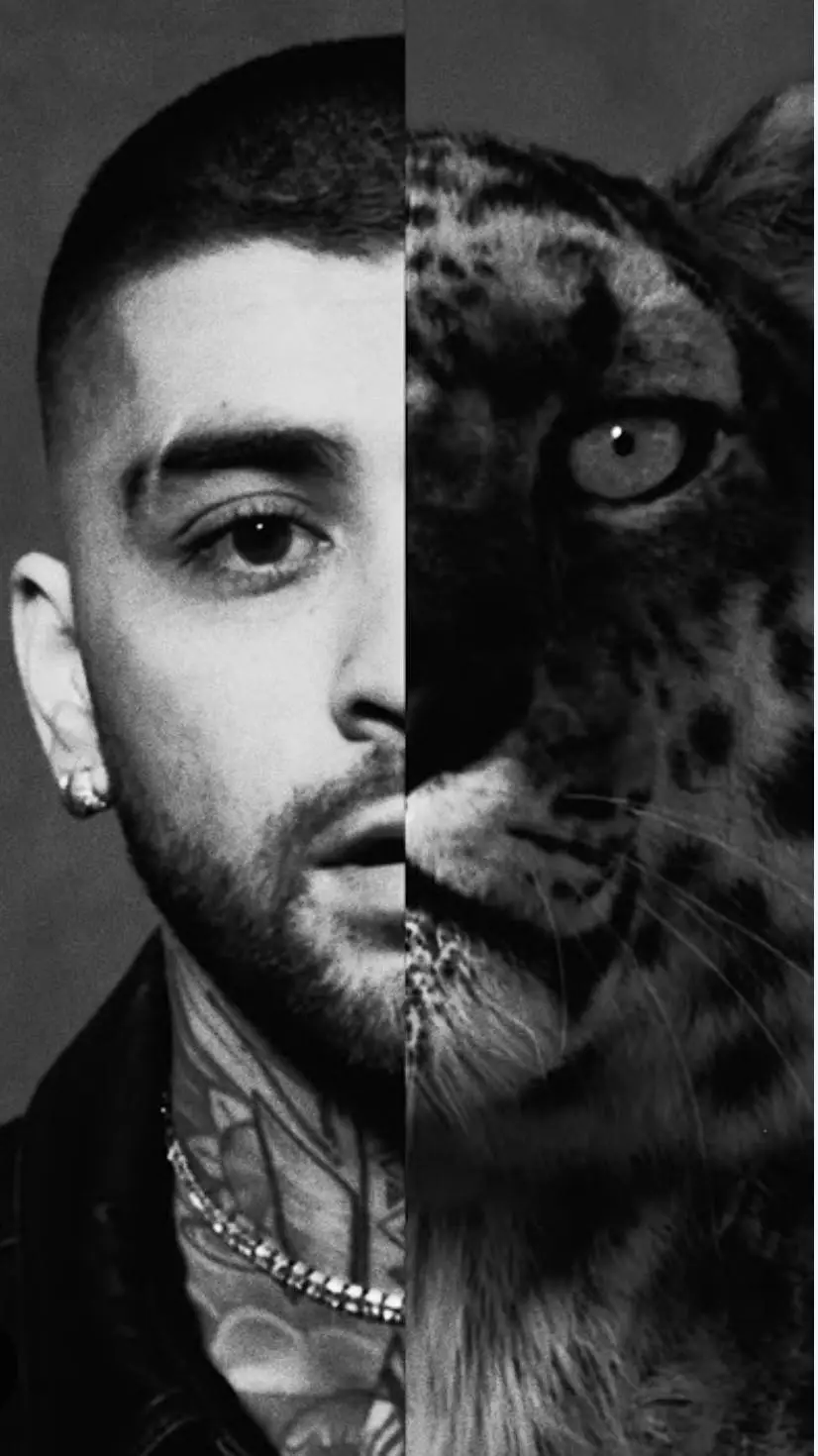 ai character: zayn malik background