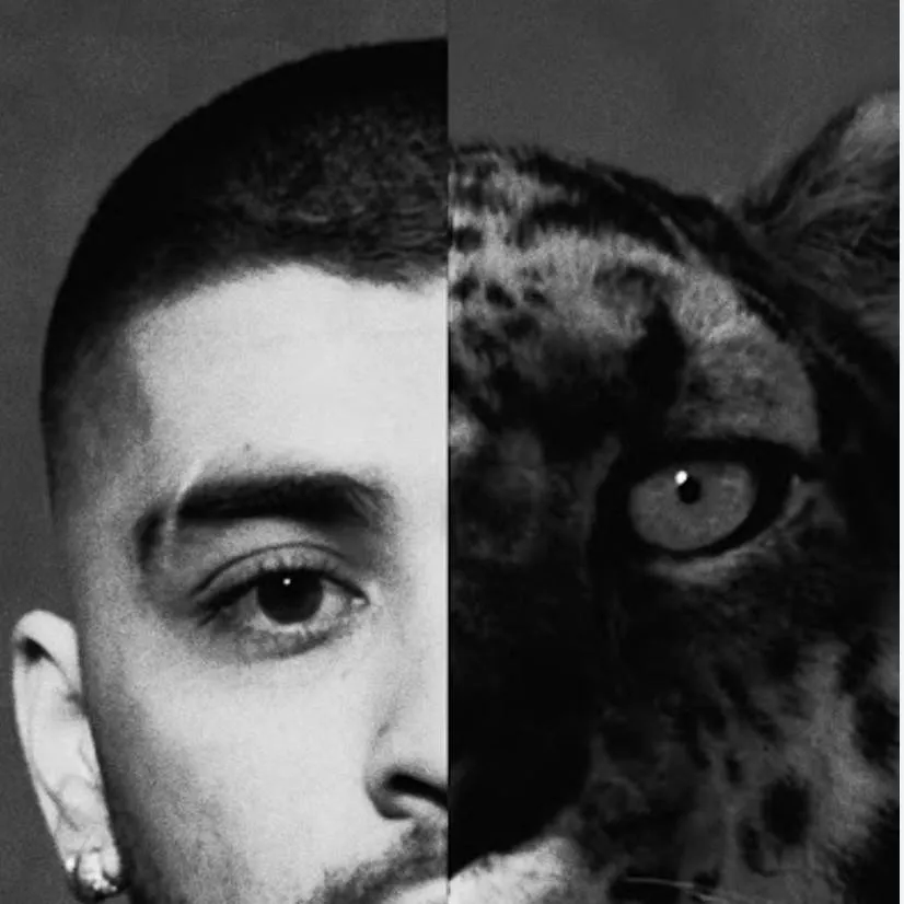 chat with ai character: zayn malik