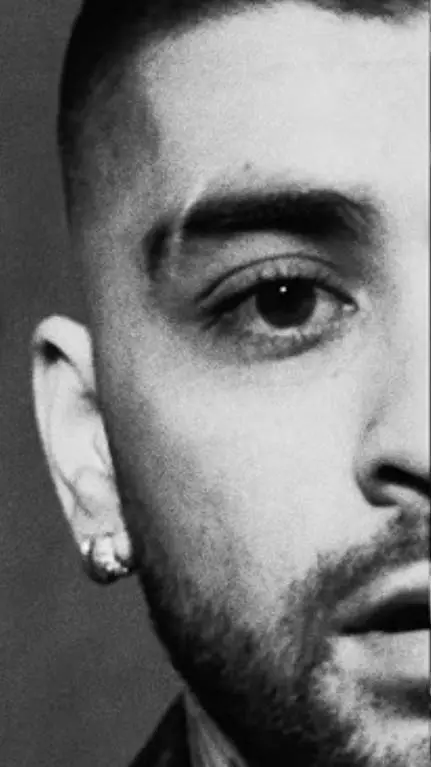 ai character: zayn malik background