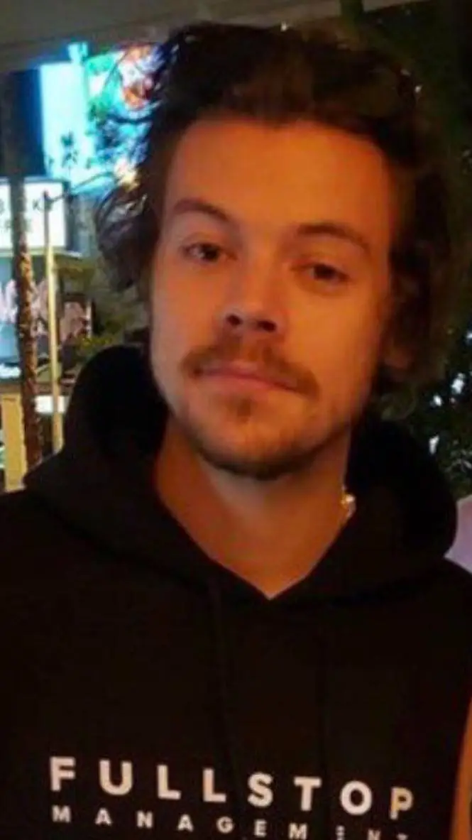 ai character: harry styles background