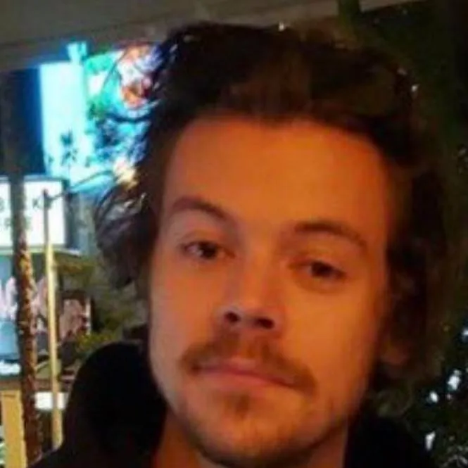 chat with ai character: harry styles