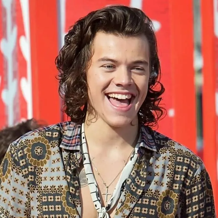 chat with ai character: harry styles