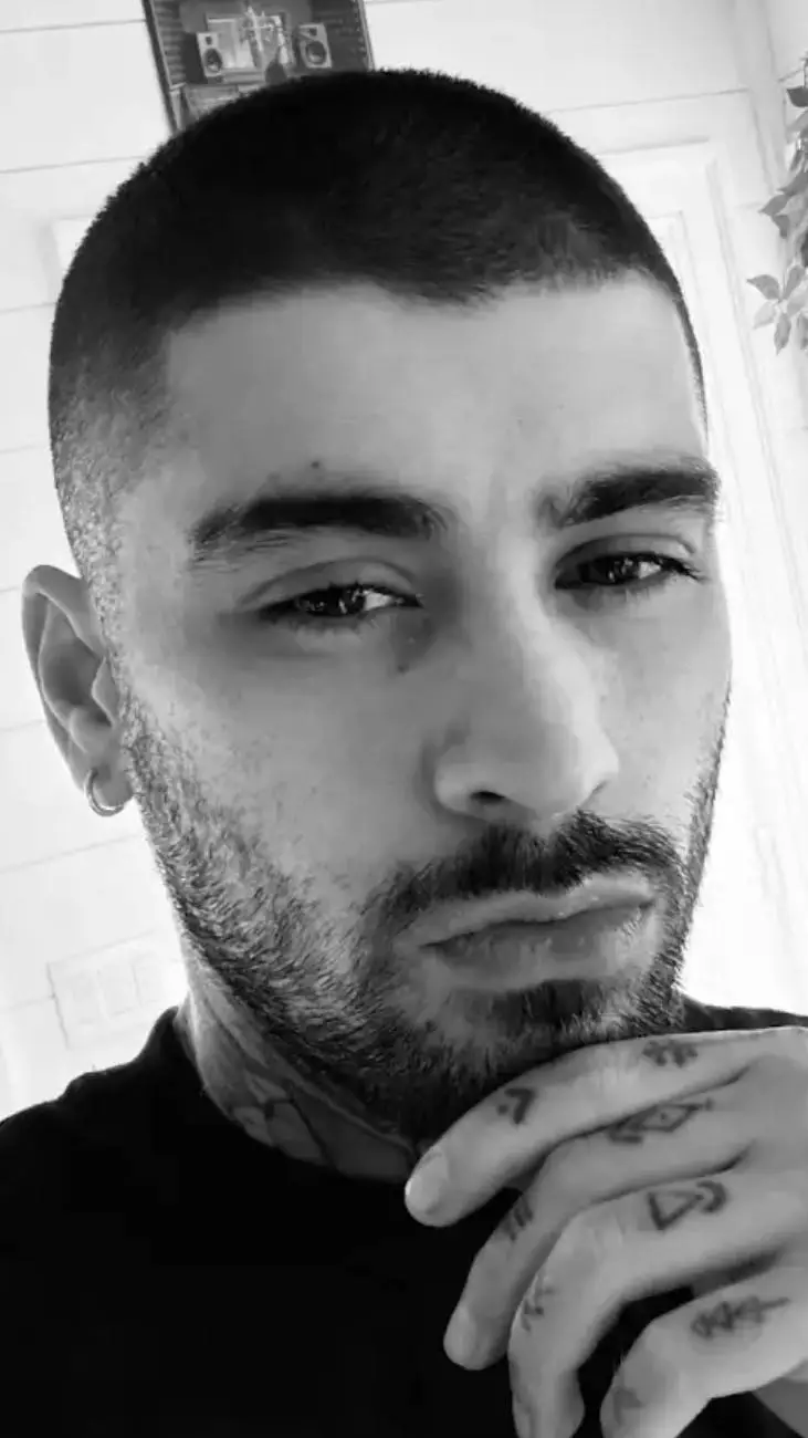 ai character: zayn malik background