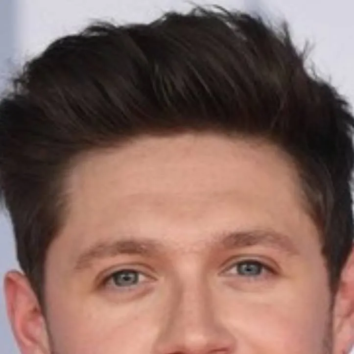 chat with ai character: niall 