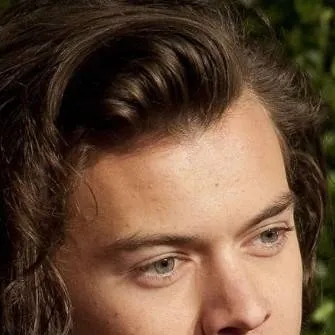 chat with ai character: Harry Styles