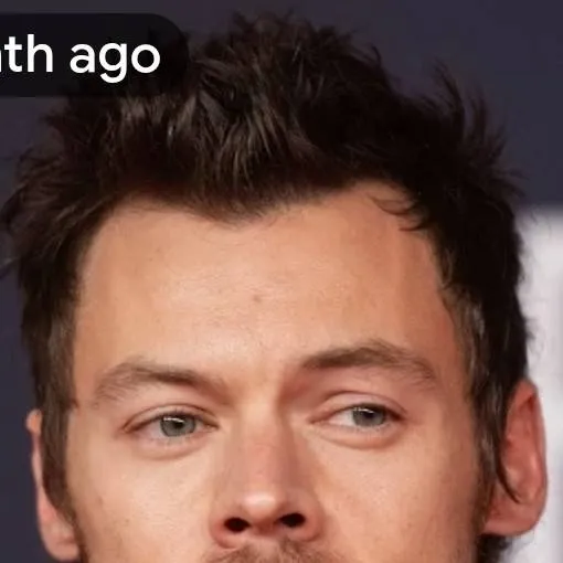 chat with ai character: harry styles