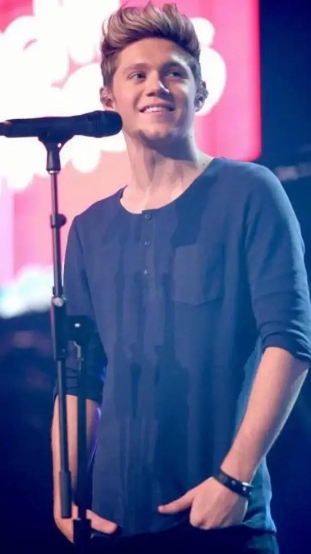 ai character: niall horan  background