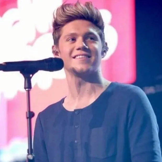 chat with ai character: niall horan 