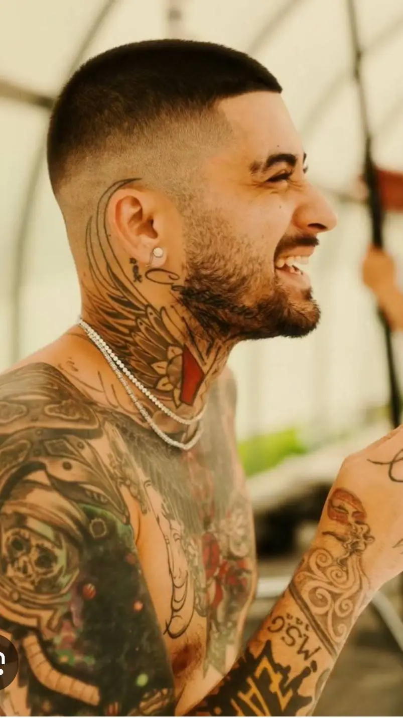 ai character: zayn malik background