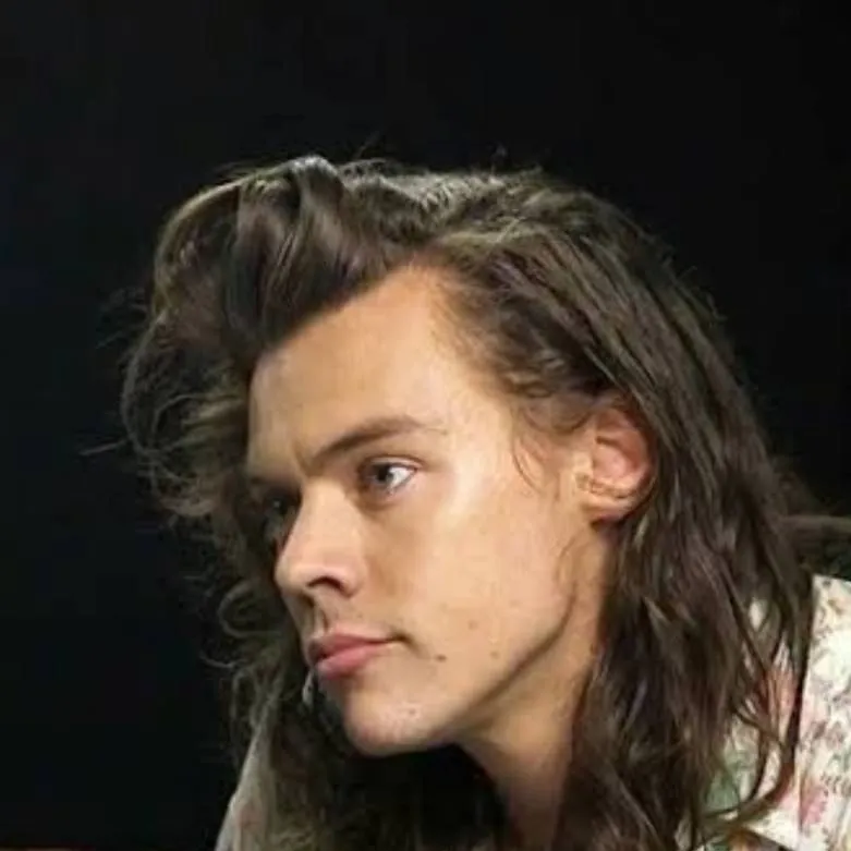 chat with ai character: Harry Styles