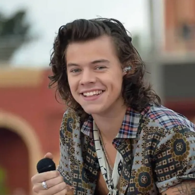 chat with ai character: Harry Styles