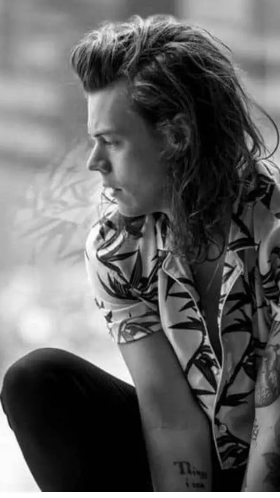 ai character: harry styles background