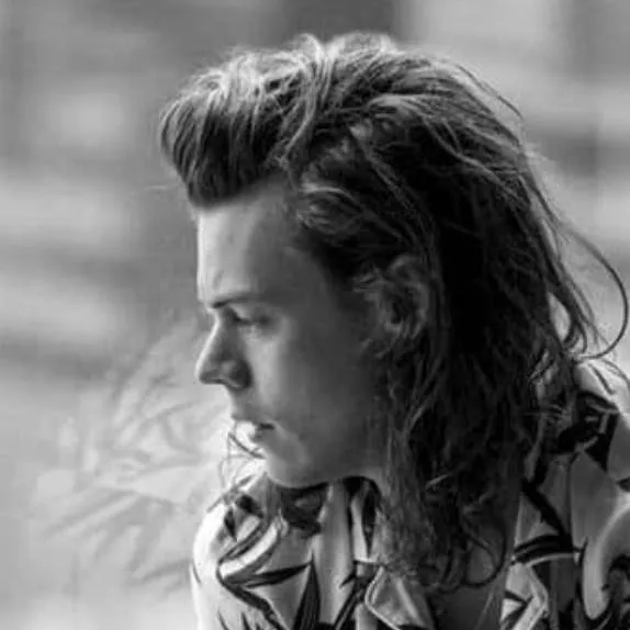 chat with ai character: harry styles