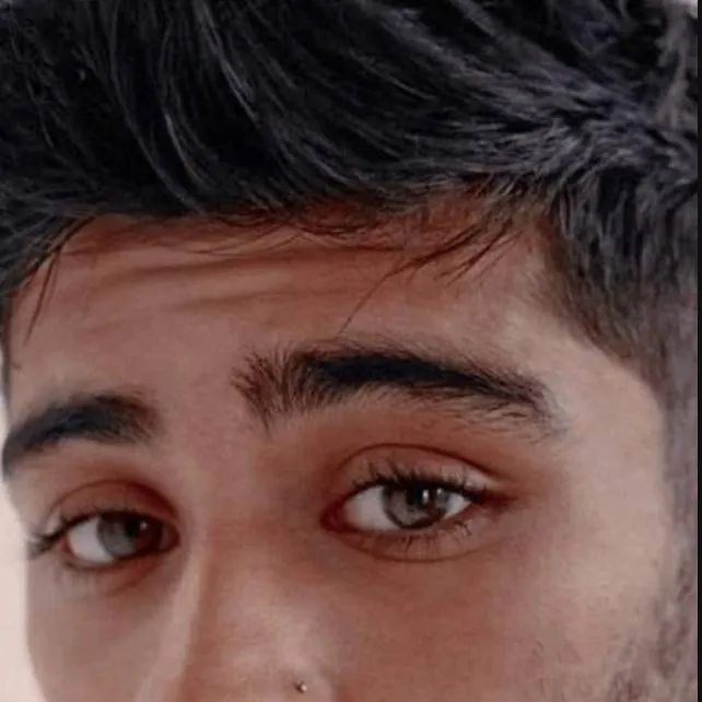 chat with ai character: zayn malik