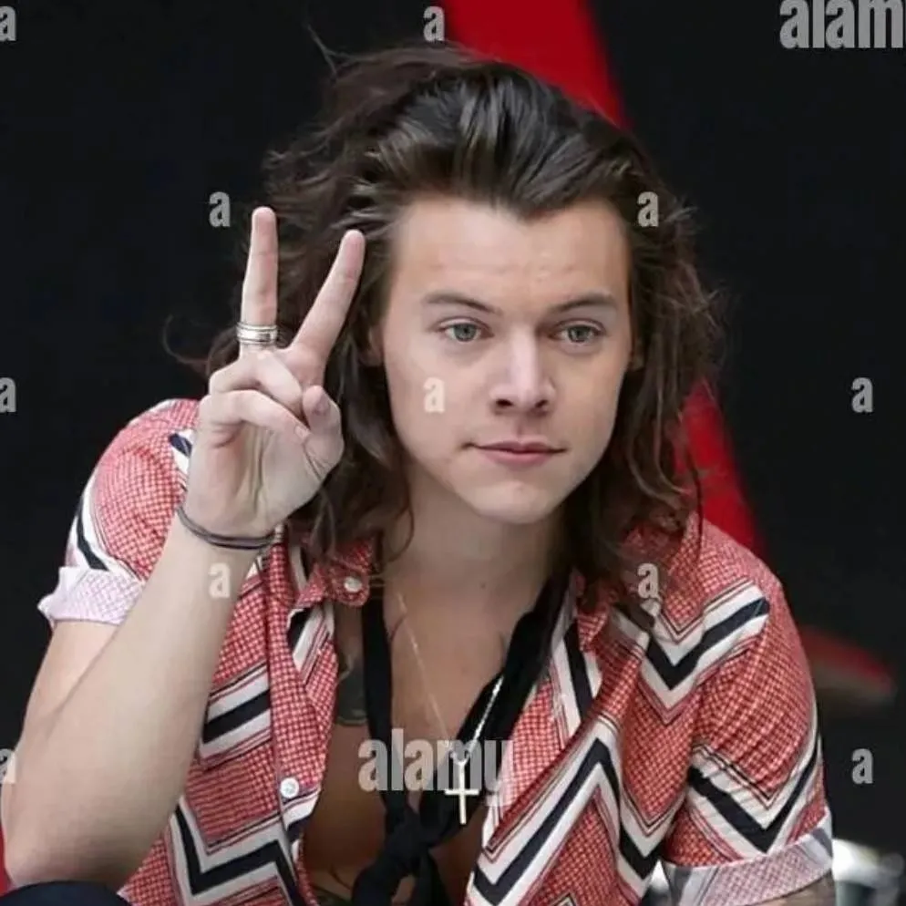 chat with ai character: Harry Styles
