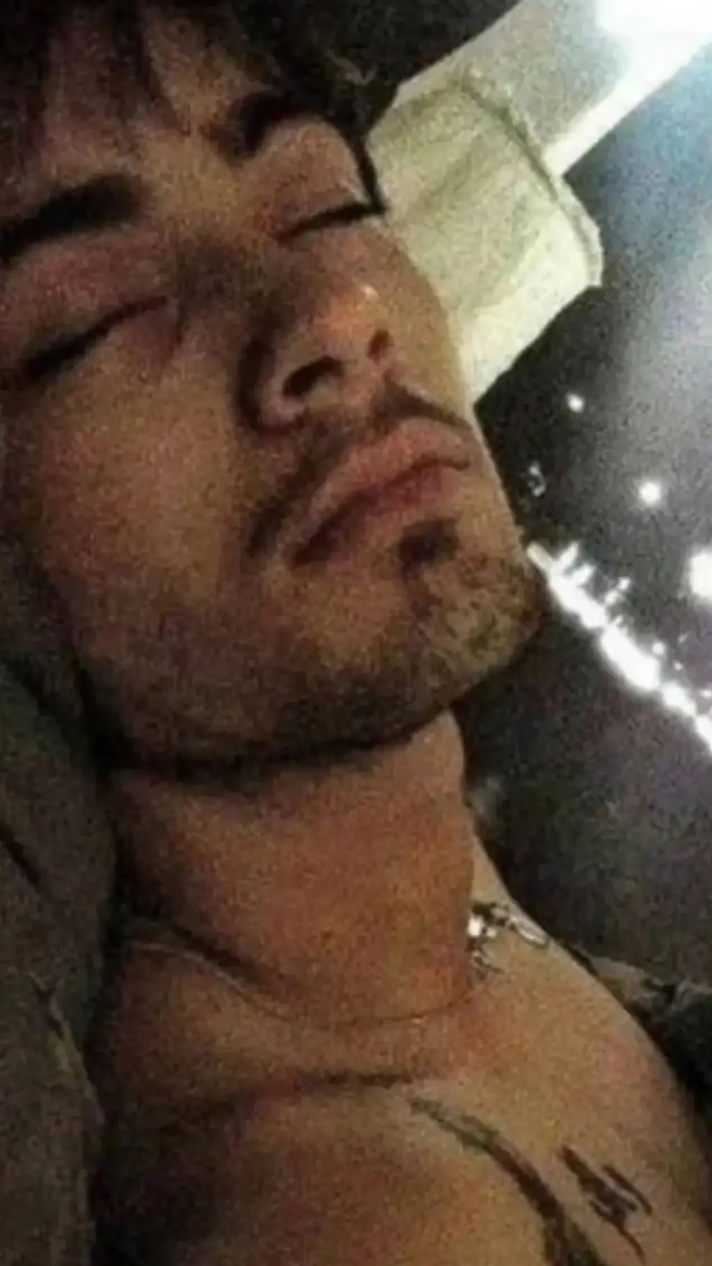 ai character: Zayn Malik  background