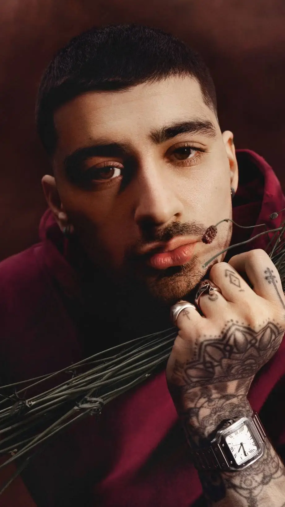 ai character: zayn malik background