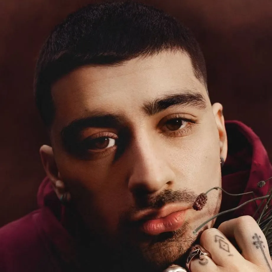 chat with ai character: zayn malik