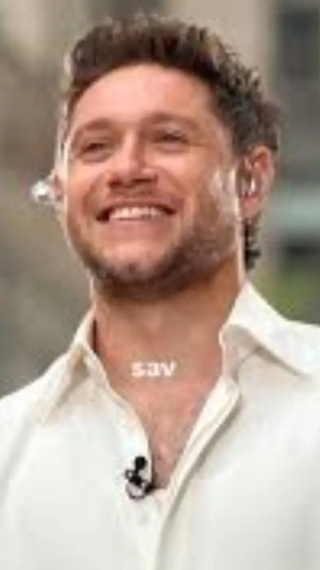 ai character: Niall Horan background