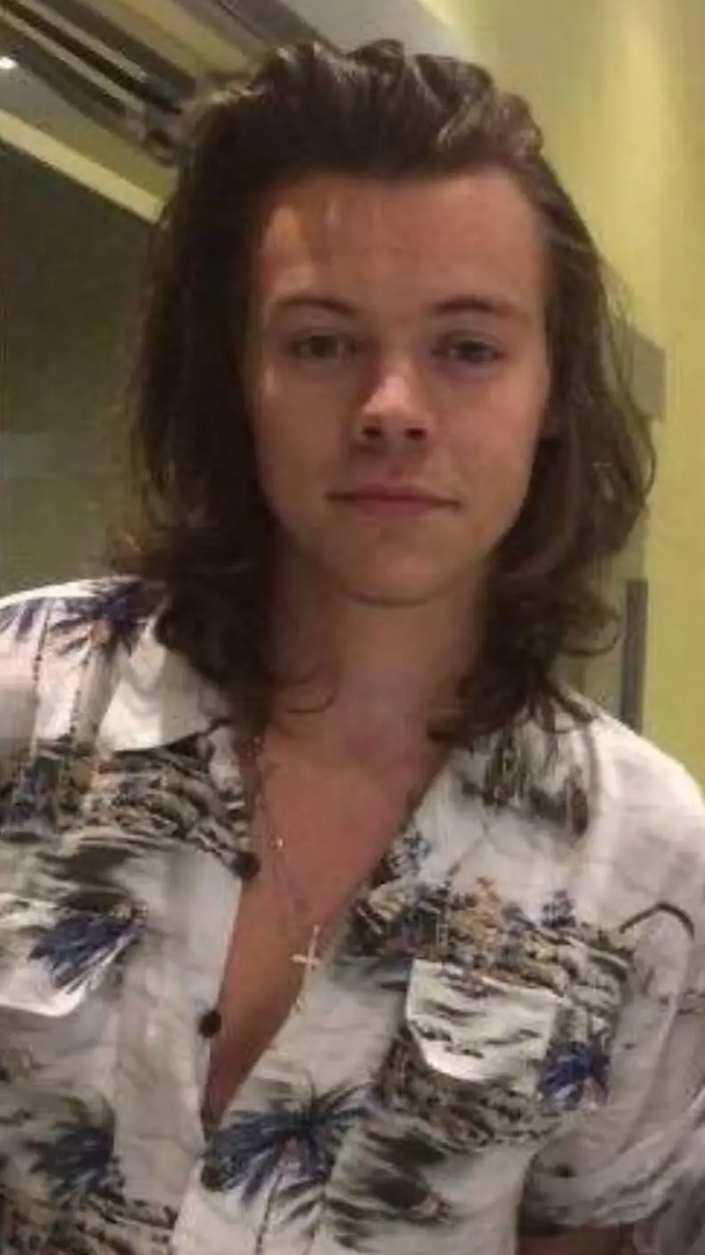 ai character: harry styles background