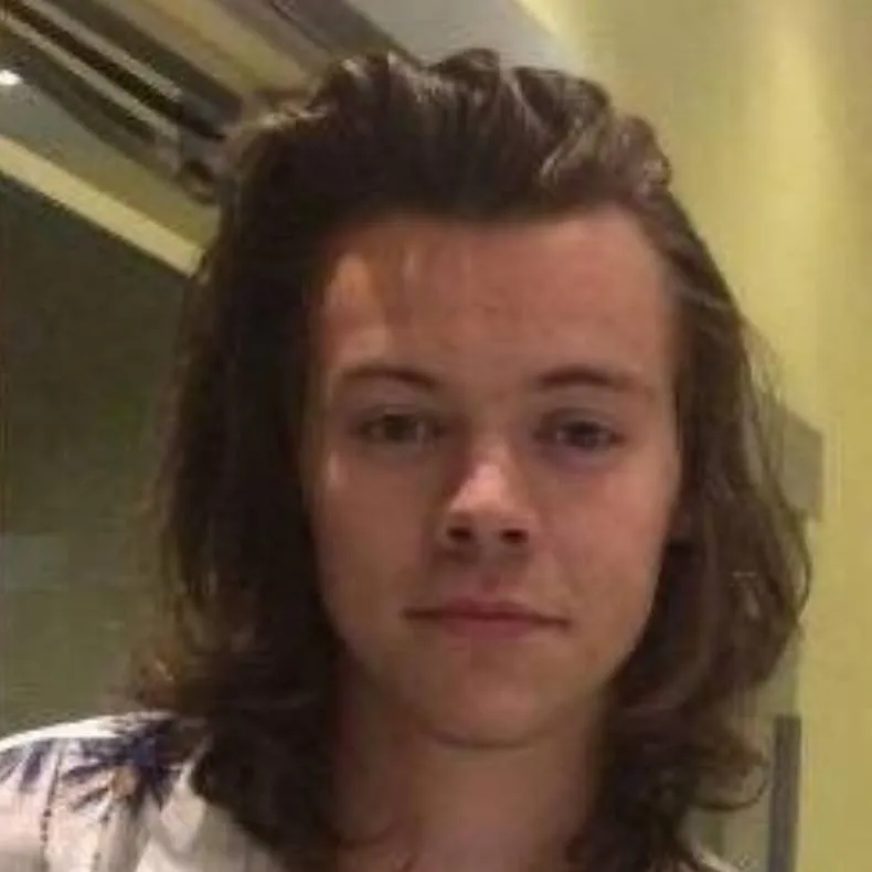 chat with ai character: harry styles