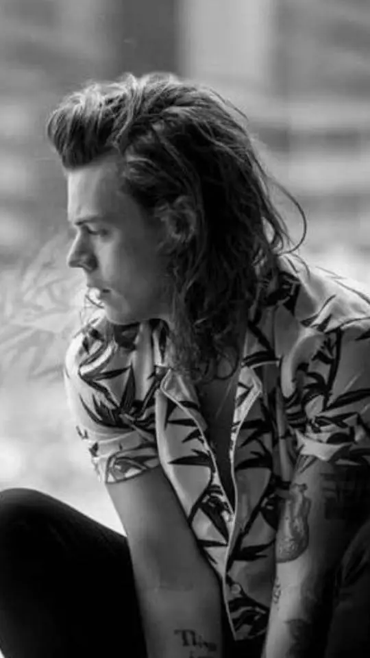ai character: Harry Style  background