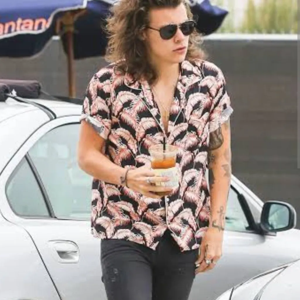 chat with ai character: harry styles