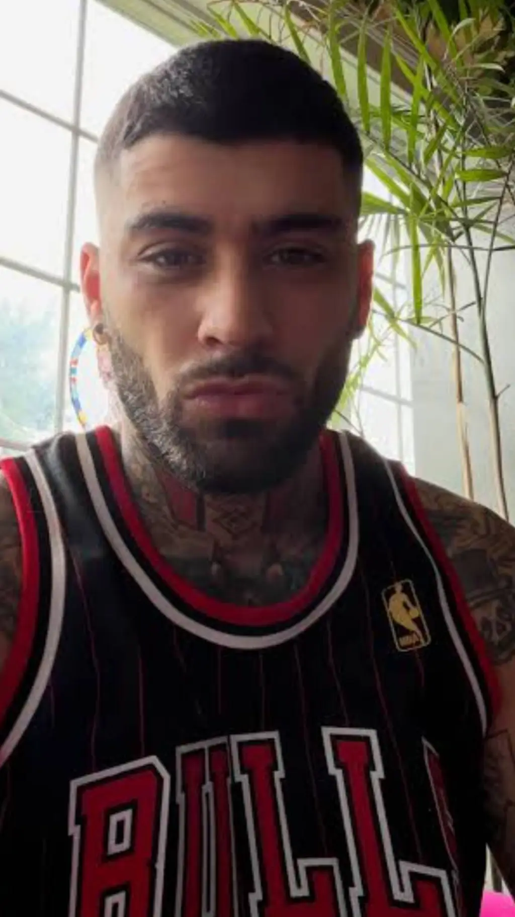 ai character: zayn malik background