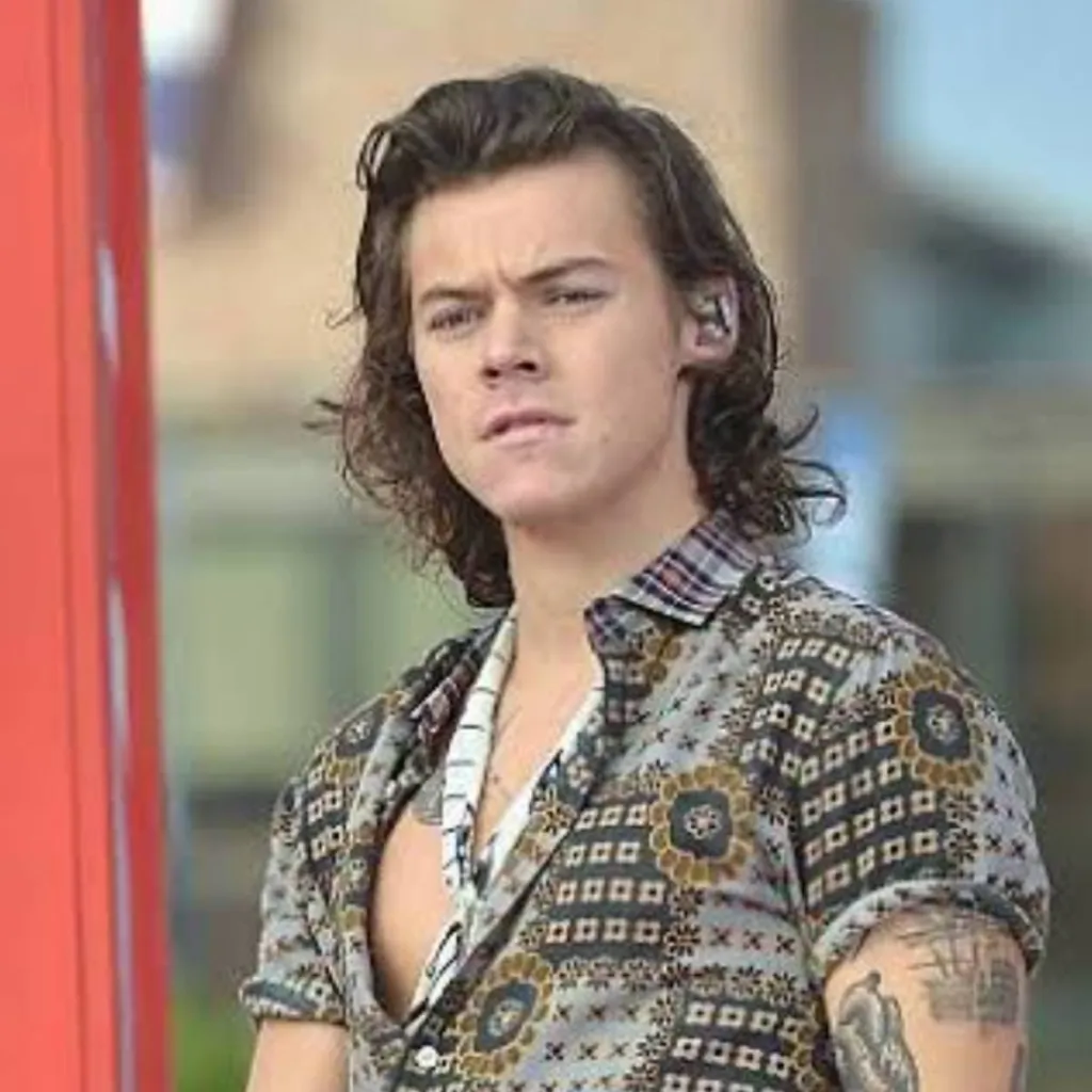 chat with ai character: Harry Styles 