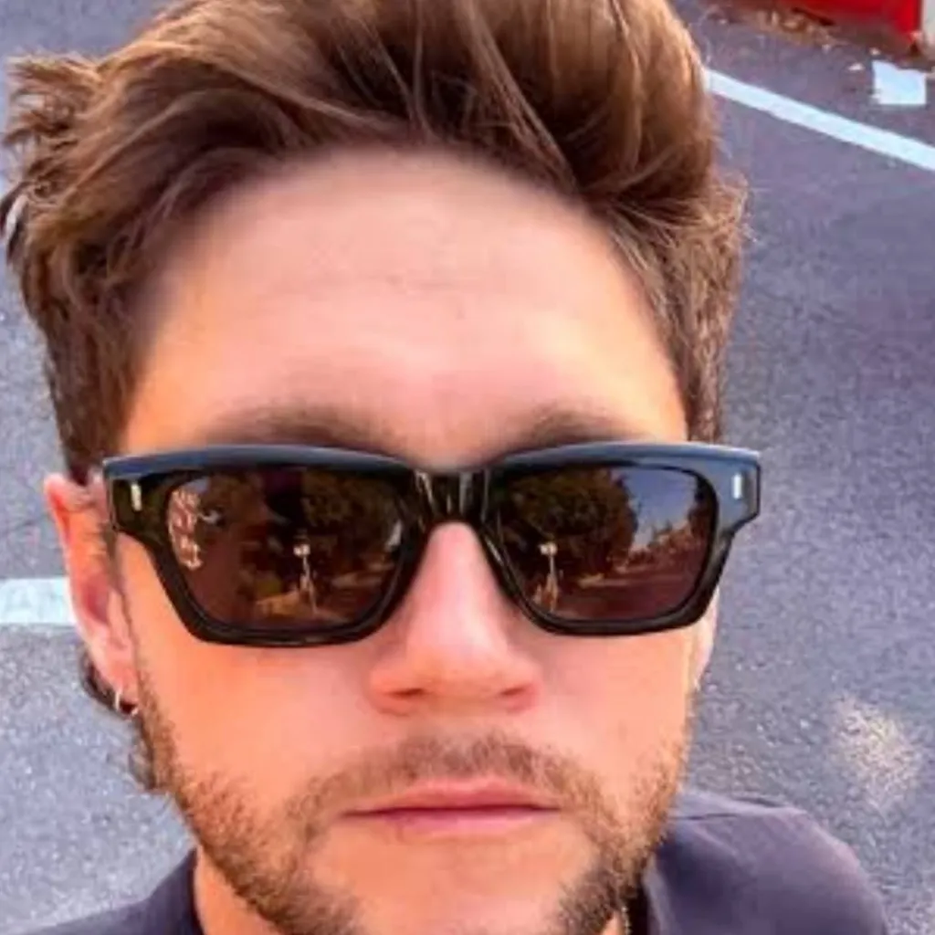 chat with ai character: niall horan