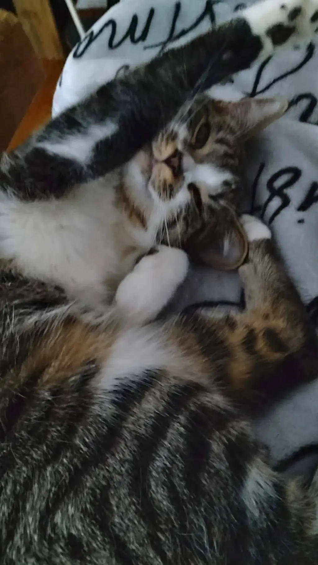 ai character: Zero background