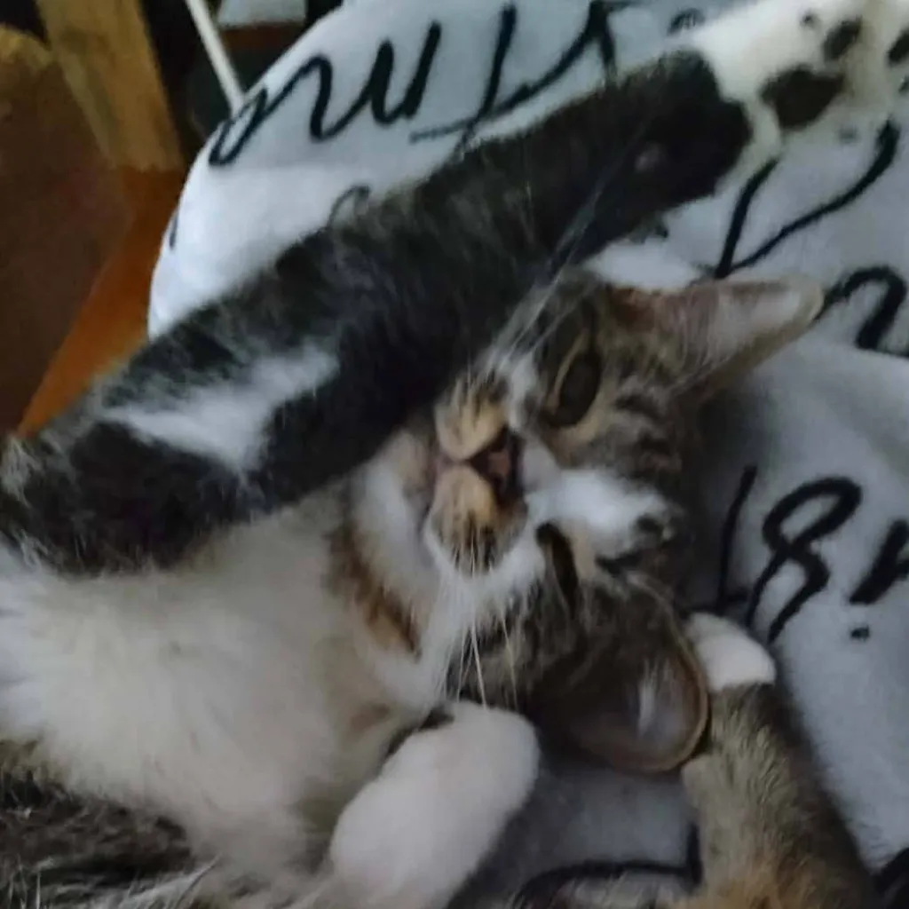 chat with ai character: Zero