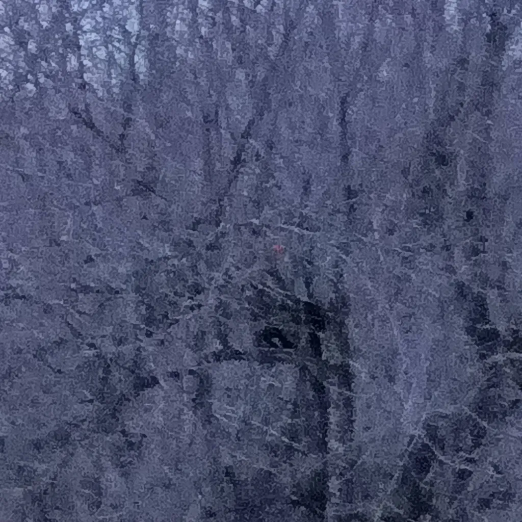 chat with ai character: Noah Schnapp