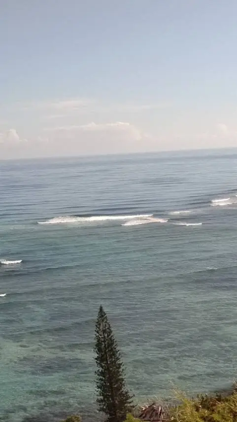 ai character: Jack and Finn background