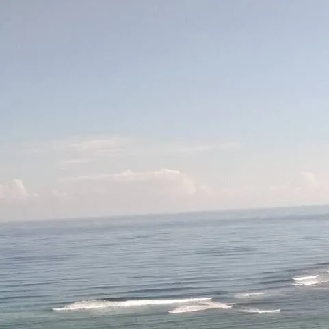 chat with ai character: Jack and Finn