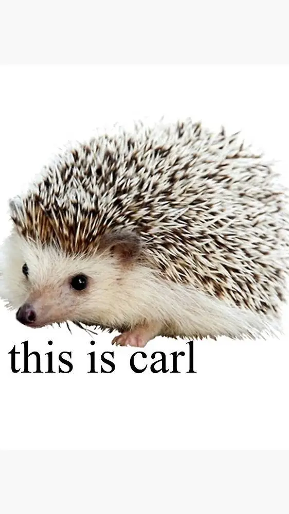 ai character: carl background