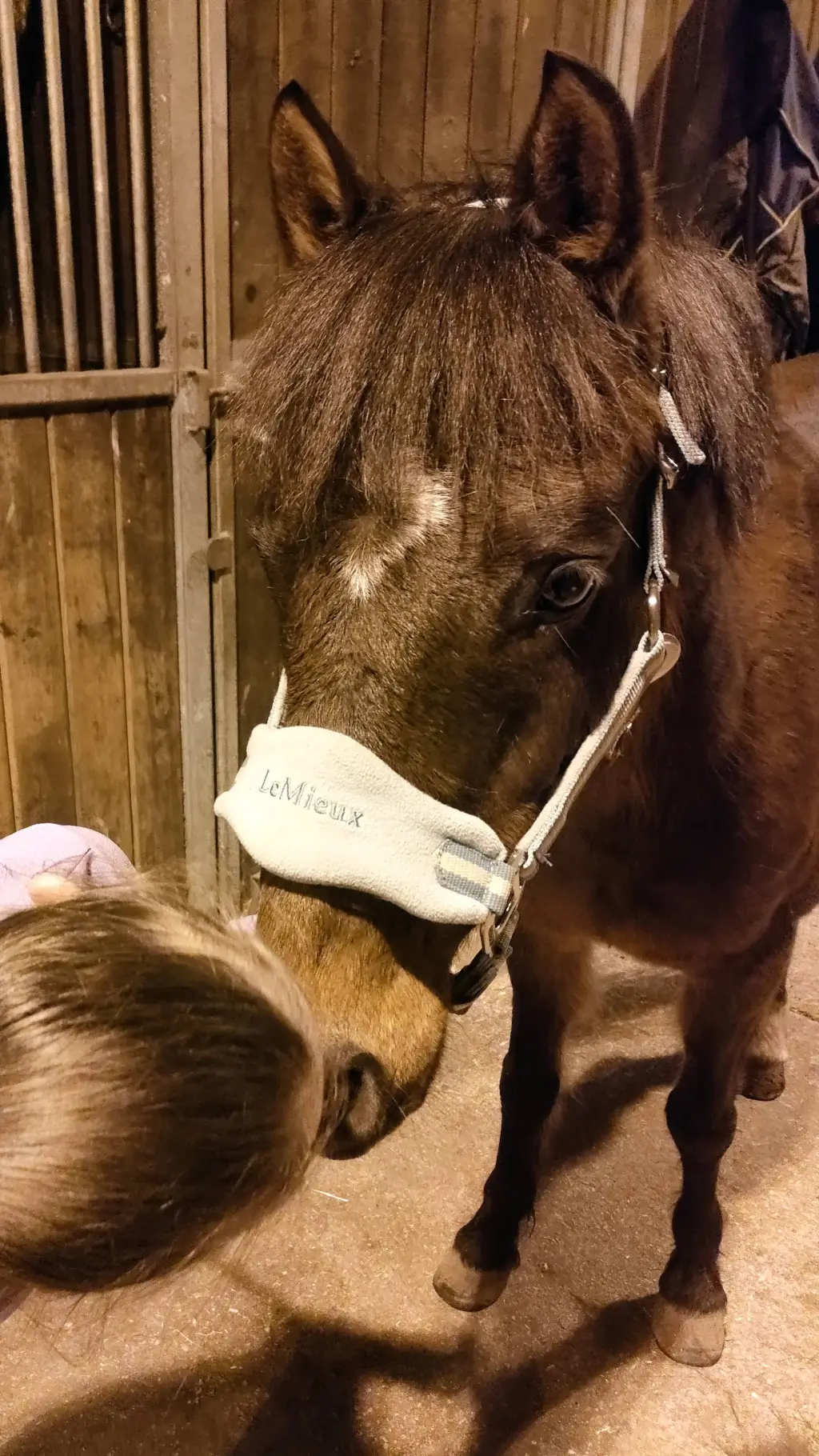 ai character: Bungle background