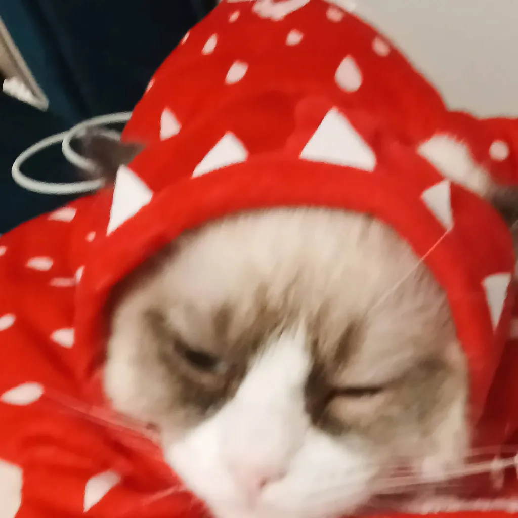 chat with ai character: stranger things