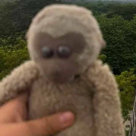 chat with ai character: Mr Monkey