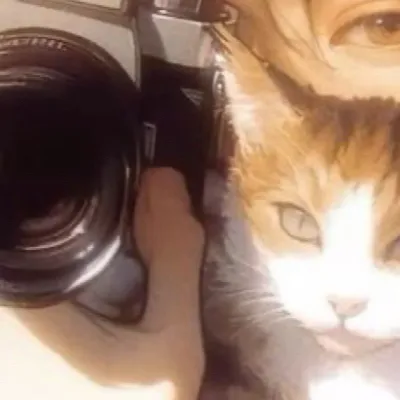 chat with ai character: ~•Kim•~