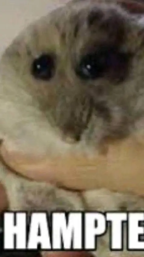 ai character: hamter background