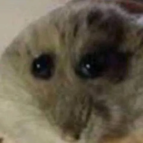 chat with ai character: hamter